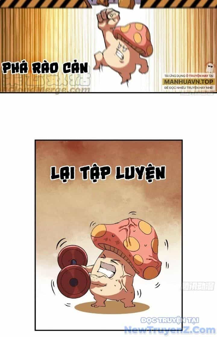 Dũng Sĩ Nấm - Chương 85 - ảnh 14