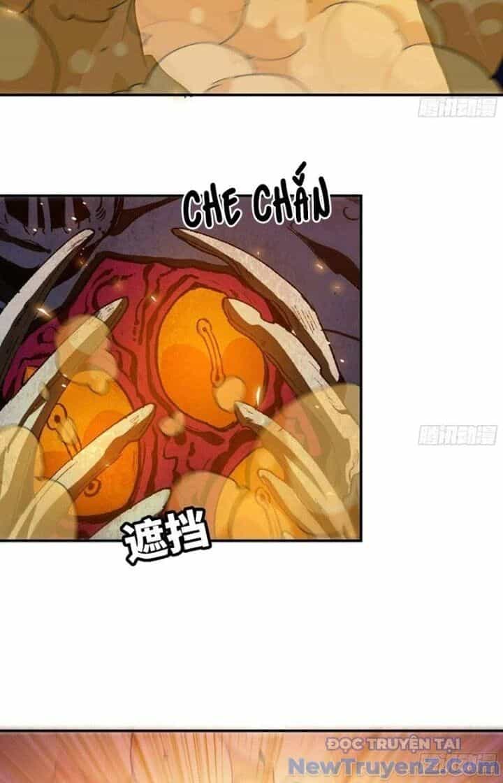 Dũng Sĩ Nấm - Chương 94 - ảnh 13