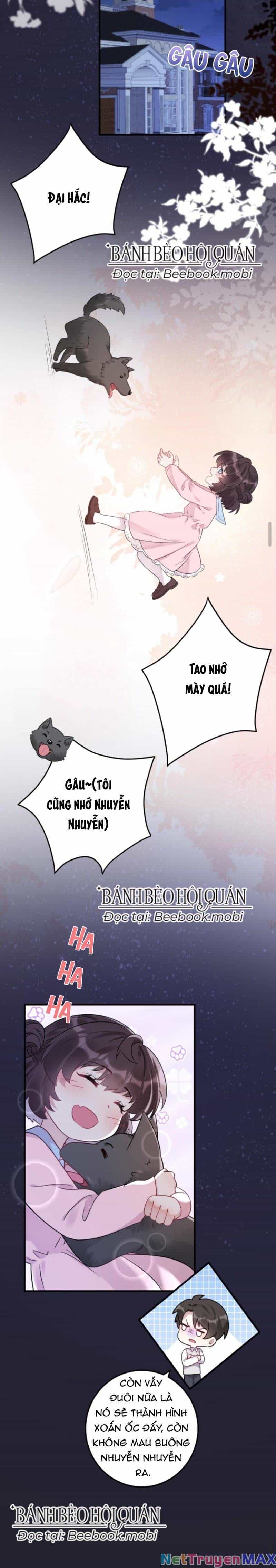 Đứng Yên! Em Gái Chúng Tôi Nói Trên Đầu Bạn Có Quỷ. - Chương 17 - ảnh 14