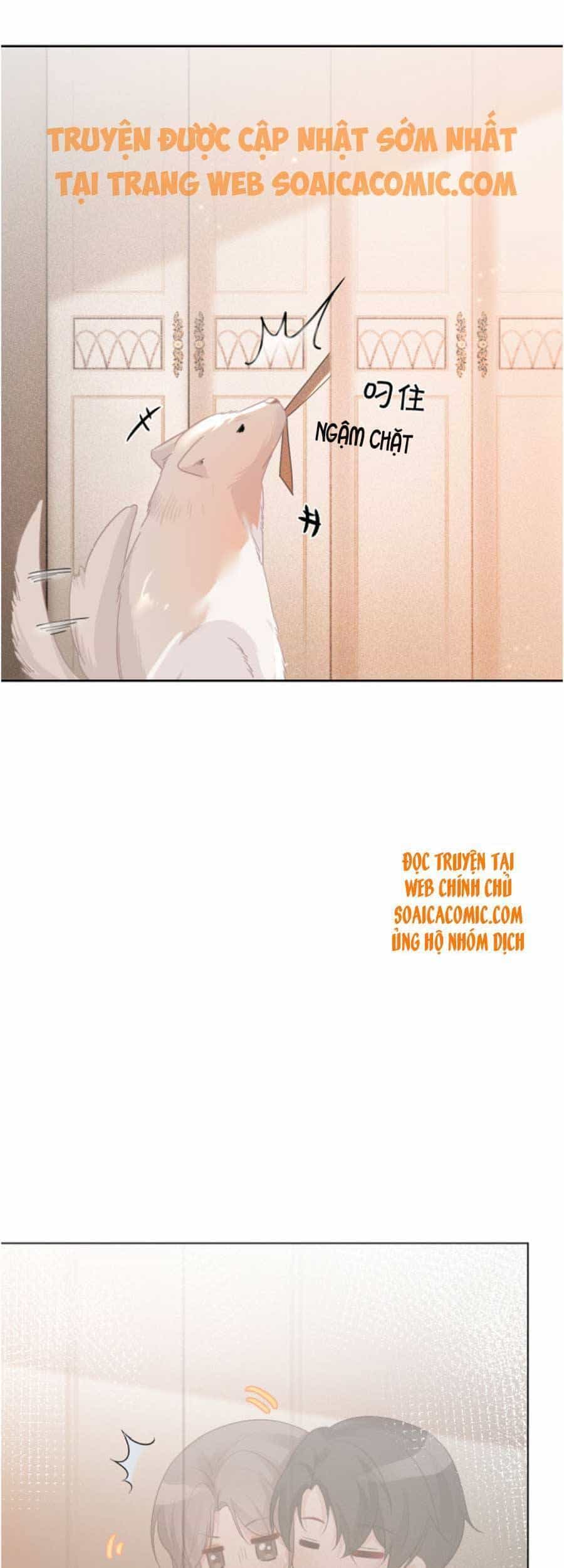 Được Các Anh Trai Chiều Chuộng Tôi Trở Nên Ngang Tàng - Chương 59 - ảnh 19