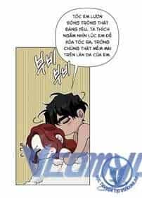 Dưới Bóng Cây Sồi - Chương 12 - ảnh 51