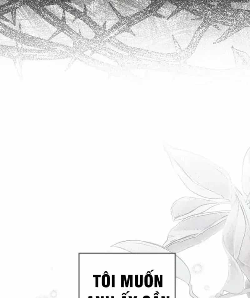 Dưới Bóng Cây Sồi - Chương 146 - ảnh 142