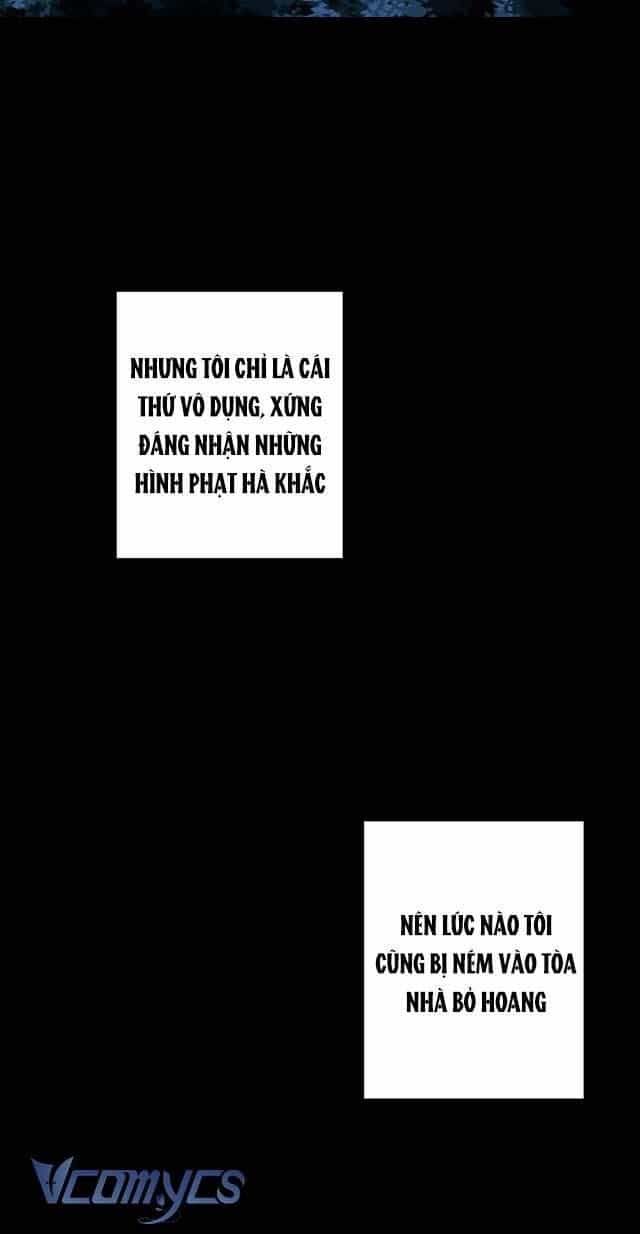 Dưới Bóng Cây Sồi - Chương 4 - ảnh 17