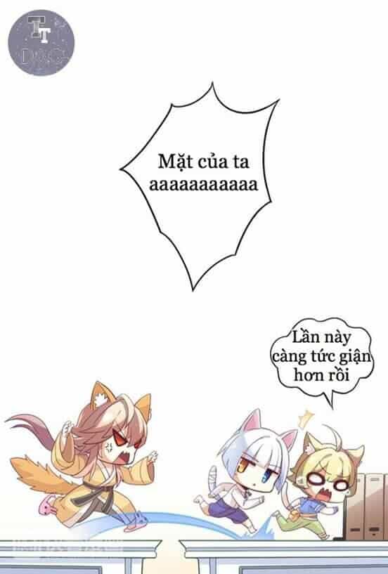 Dưới Móng Vuốt Mèo - Chương 1 - ảnh 17