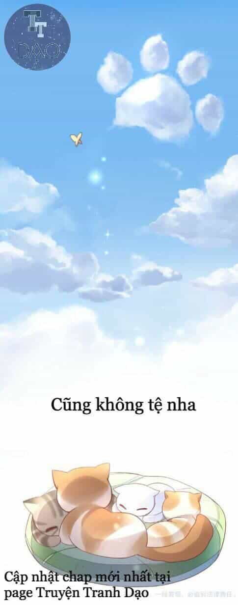 Dưới Móng Vuốt Mèo - Chương 1 - ảnh 39