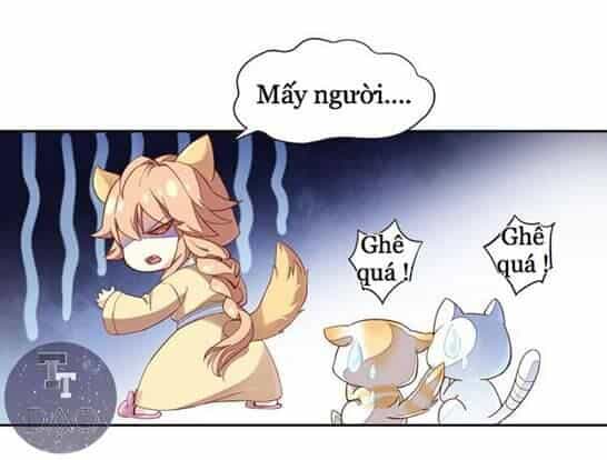 Dưới Móng Vuốt Mèo - Chương 1 - ảnh 9