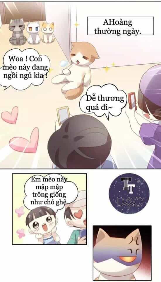 Dưới Móng Vuốt Mèo - Chương 10 - ảnh 10