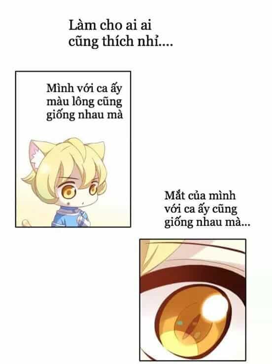 Dưới Móng Vuốt Mèo - Chương 10 - ảnh 13