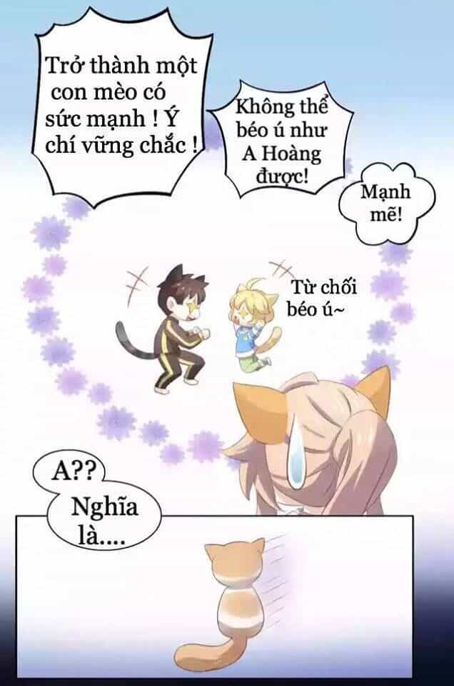 Dưới Móng Vuốt Mèo - Chương 11 - ảnh 46