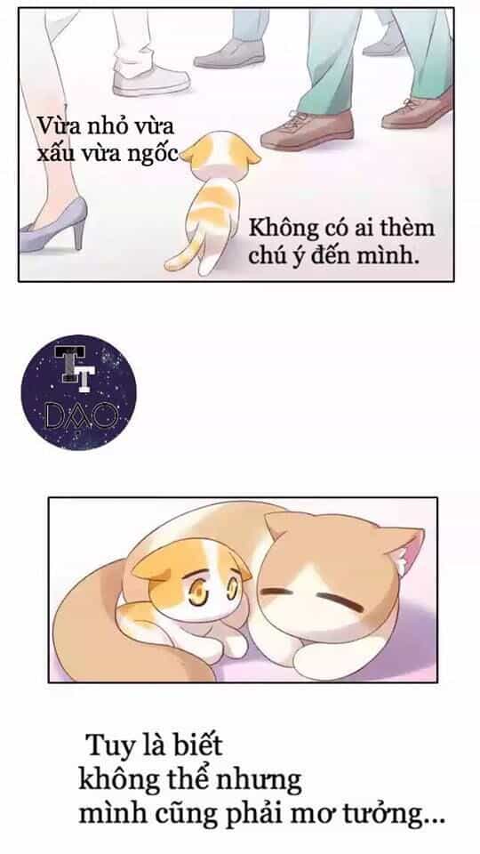 Dưới Móng Vuốt Mèo - Chương 11 - ảnh 7