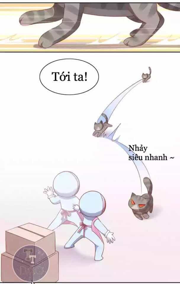 Dưới Móng Vuốt Mèo - Chương 12 - ảnh 16