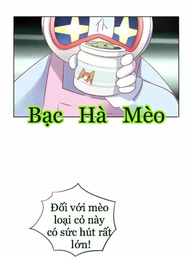 Dưới Móng Vuốt Mèo - Chương 12 - ảnh 24