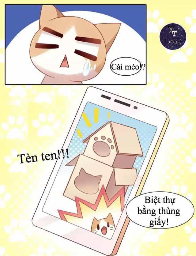 Dưới Móng Vuốt Mèo - Chương 13 - ảnh 23