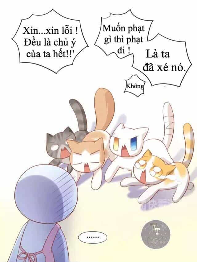 Dưới Móng Vuốt Mèo - Chương 13 - ảnh 29