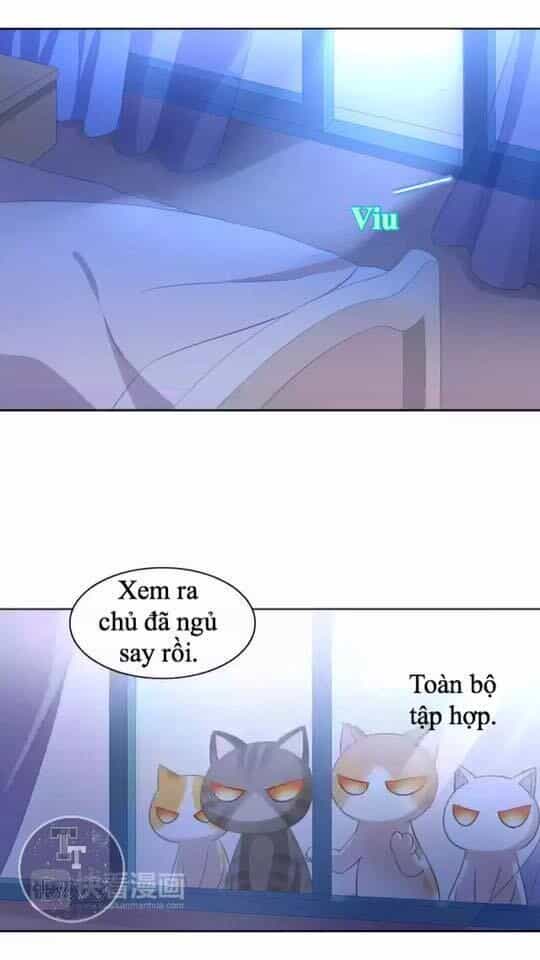 Dưới Móng Vuốt Mèo - Chương 13 - ảnh 3