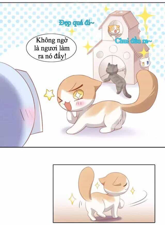 Dưới Móng Vuốt Mèo - Chương 13 - ảnh 35