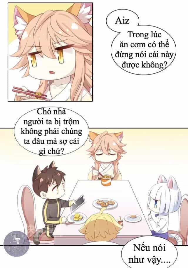 Dưới Móng Vuốt Mèo - Chương 14 - ảnh 5