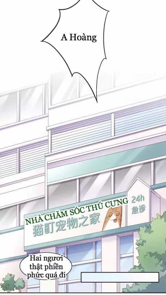 Dưới Móng Vuốt Mèo - Chương 15 - ảnh 42