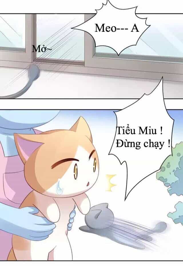Dưới Móng Vuốt Mèo - Chương 16 - ảnh 27
