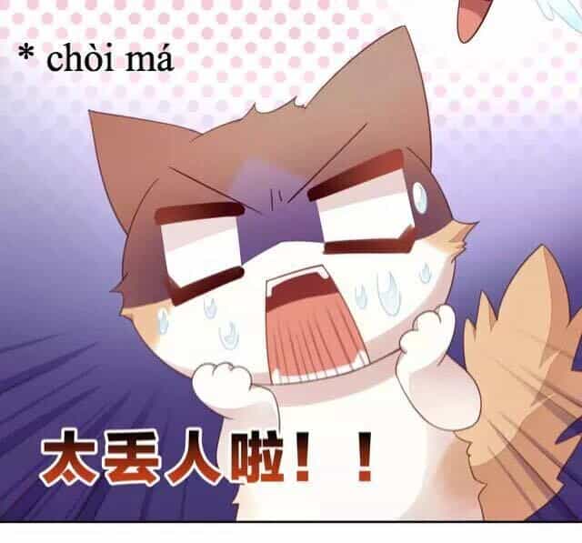 Dưới Móng Vuốt Mèo - Chương 16 - ảnh 30