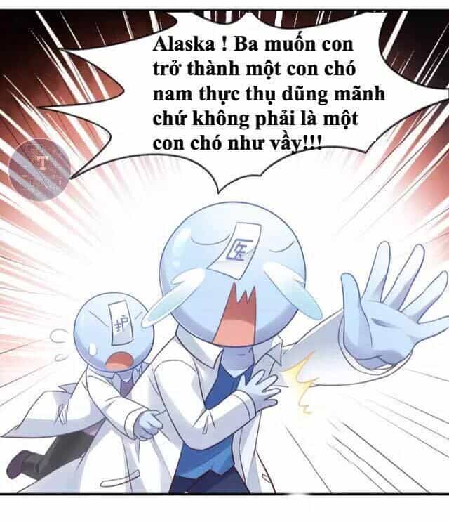 Dưới Móng Vuốt Mèo - Chương 17 - ảnh 11
