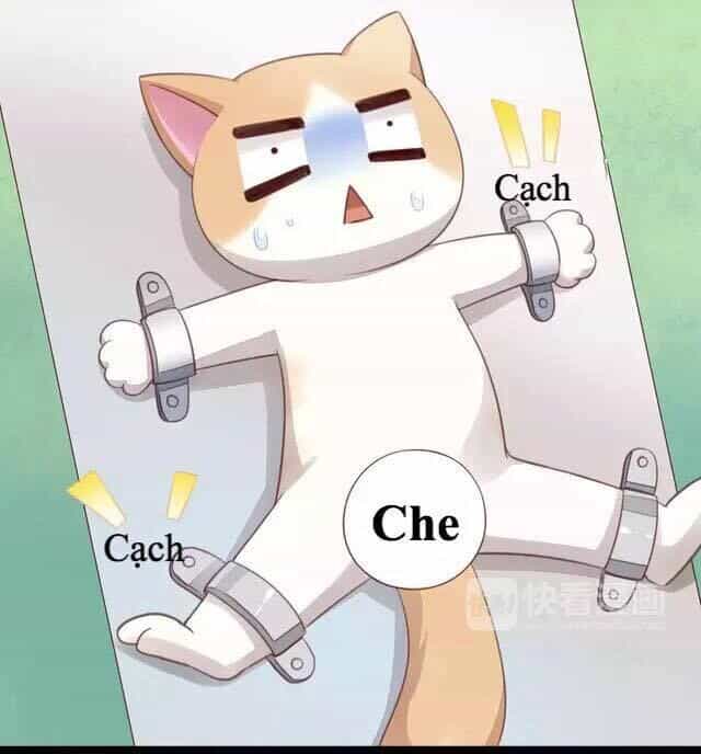 Dưới Móng Vuốt Mèo - Chương 17 - ảnh 42