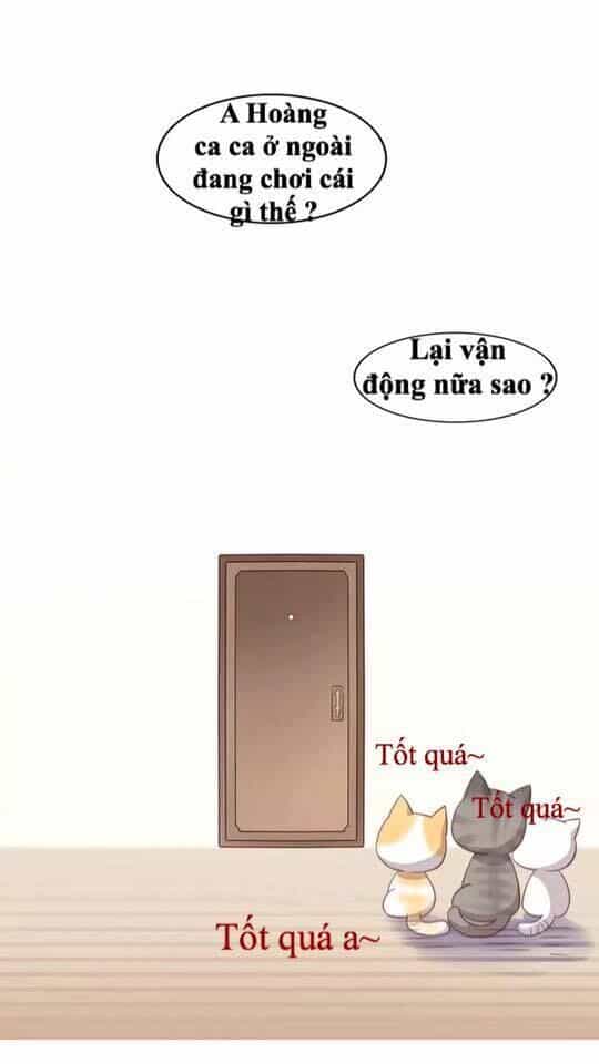 Dưới Móng Vuốt Mèo - Chương 17 - ảnh 46