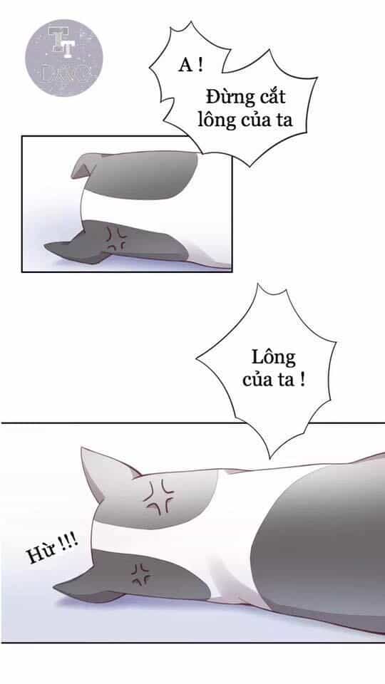 Dưới Móng Vuốt Mèo - Chương 17 - ảnh 63