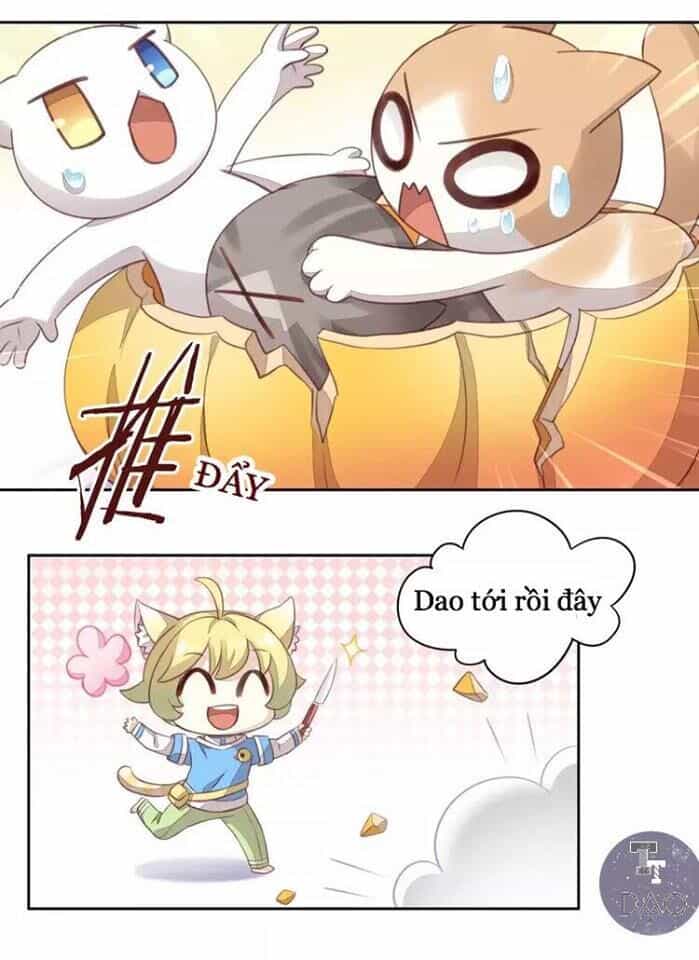 Dưới Móng Vuốt Mèo - Chương 18 - ảnh 33