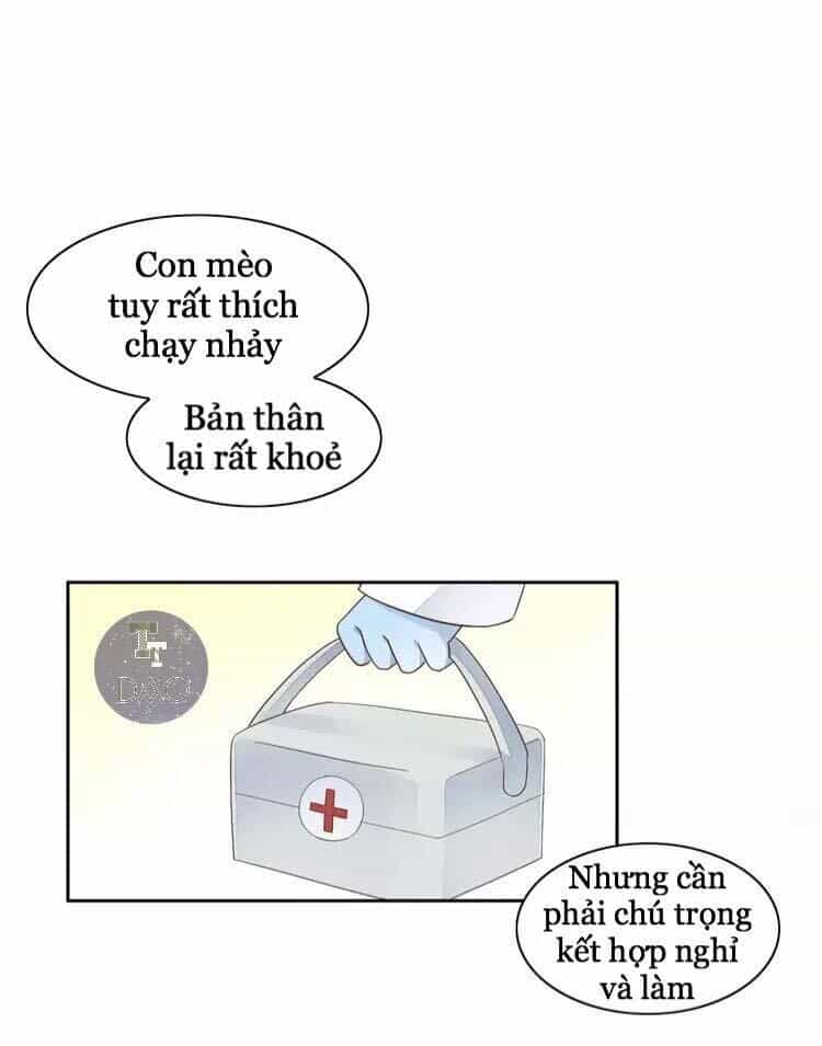 Dưới Móng Vuốt Mèo - Chương 19 - ảnh 14