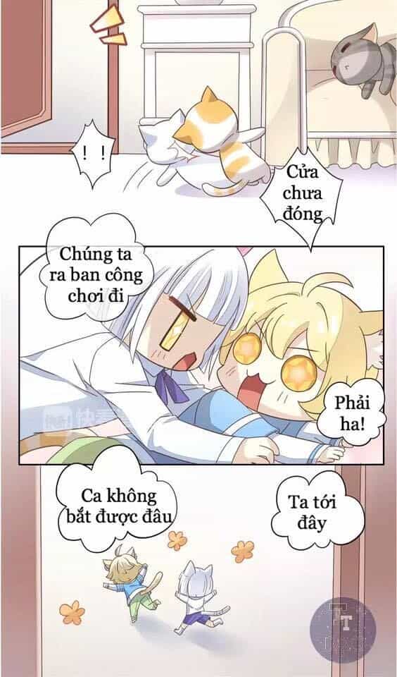 Dưới Móng Vuốt Mèo - Chương 19 - ảnh 19