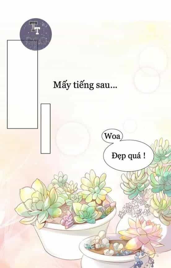 Dưới Móng Vuốt Mèo - Chương 2 - ảnh 23