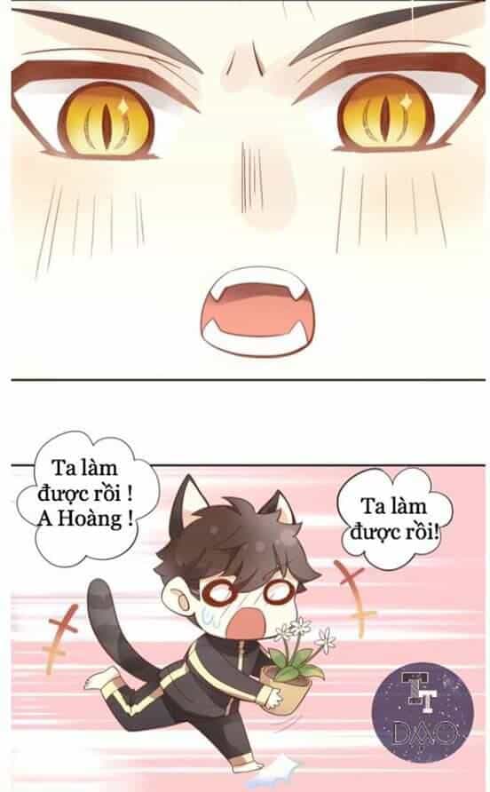 Dưới Móng Vuốt Mèo - Chương 2 - ảnh 36