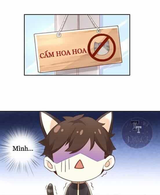 Dưới Móng Vuốt Mèo - Chương 2 - ảnh 42
