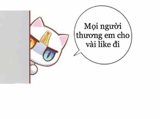 Dưới Móng Vuốt Mèo - Chương 2 - ảnh 44