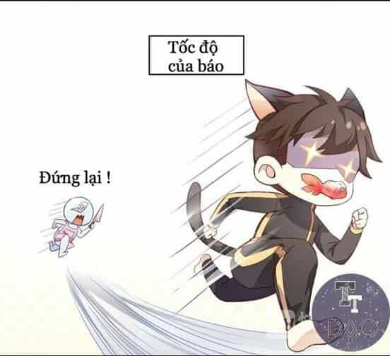 Dưới Móng Vuốt Mèo - Chương 2 - ảnh 5