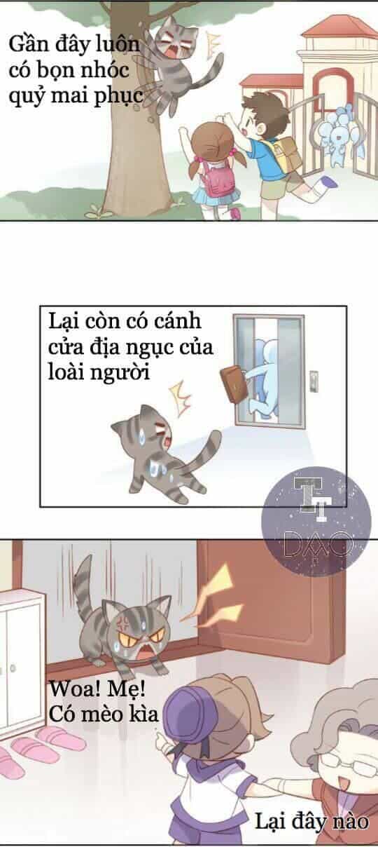 Dưới Móng Vuốt Mèo - Chương 2 - ảnh 9