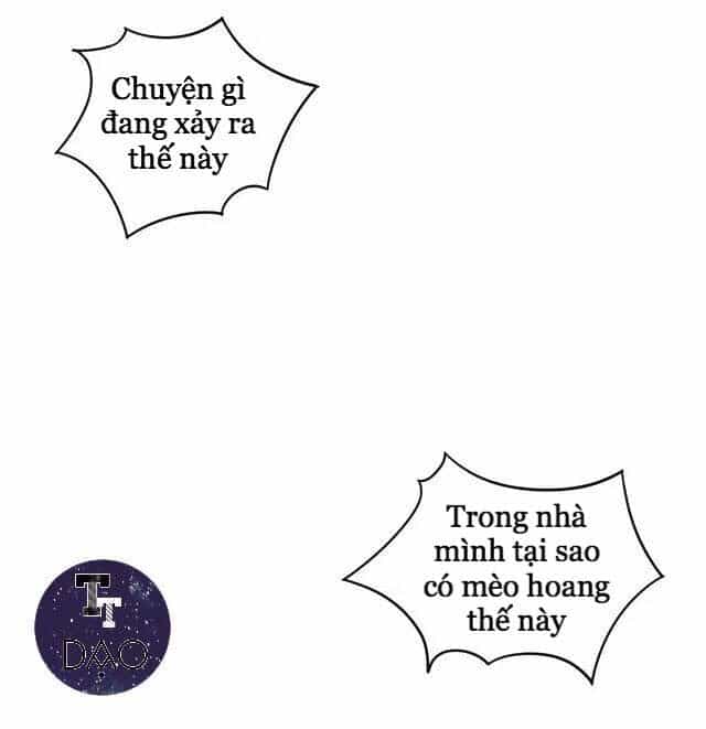 Dưới Móng Vuốt Mèo - Chương 20 - ảnh 20