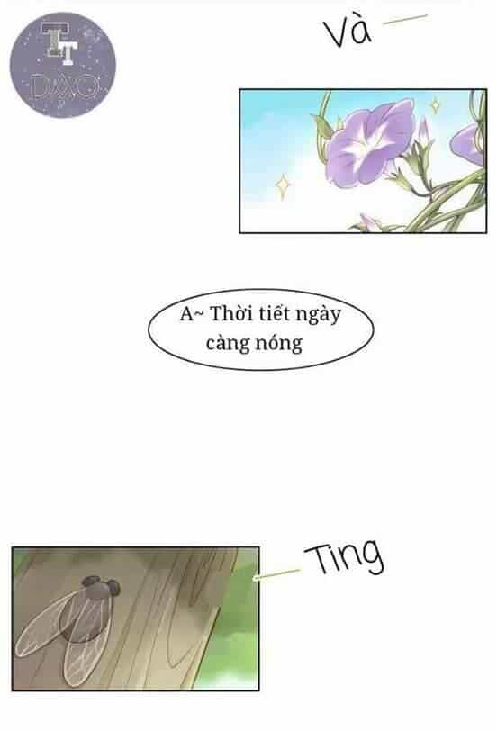 Dưới Móng Vuốt Mèo - Chương 3 - ảnh 3