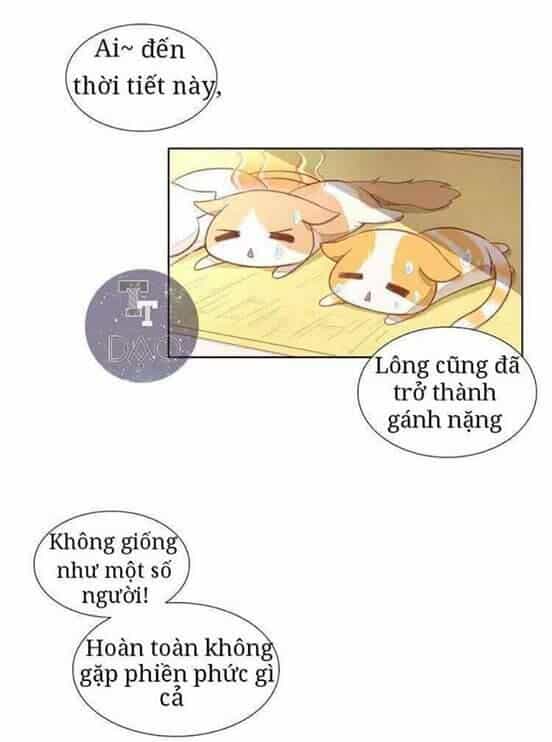 Dưới Móng Vuốt Mèo - Chương 3 - ảnh 4