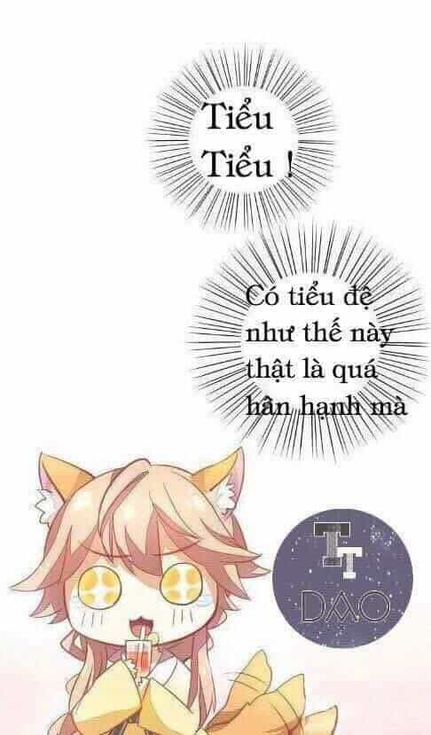 Dưới Móng Vuốt Mèo - Chương 3 - ảnh 40