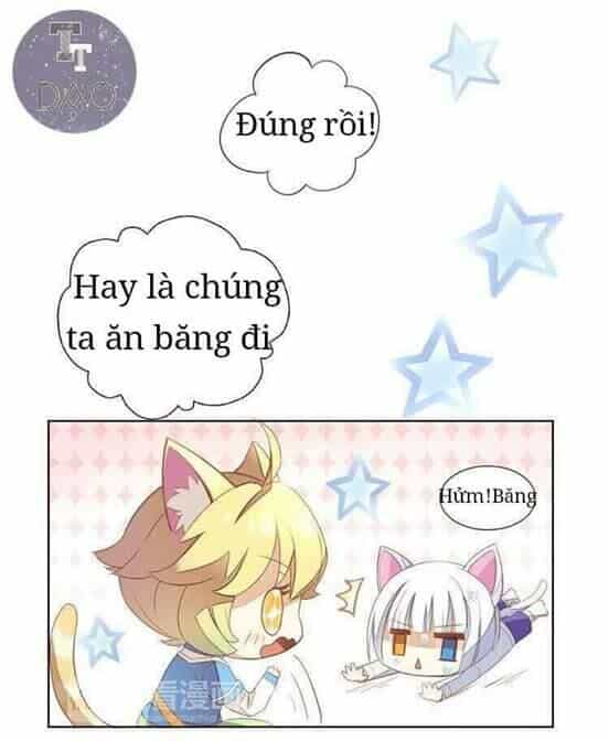 Dưới Móng Vuốt Mèo - Chương 3 - ảnh 7