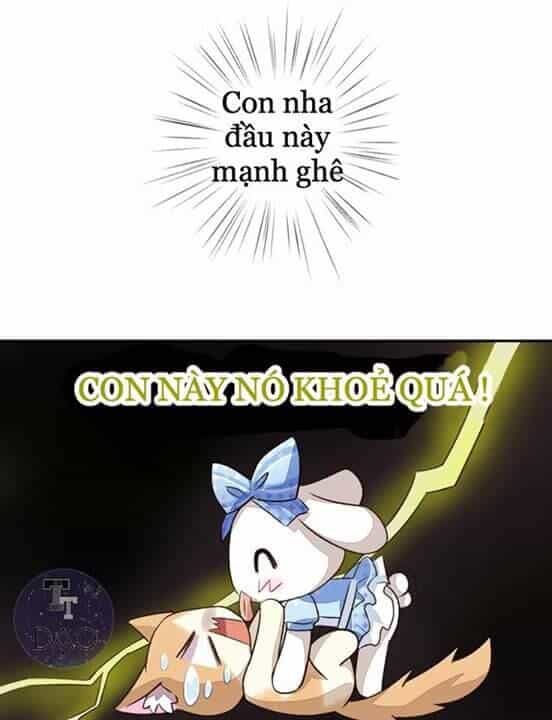 Dưới Móng Vuốt Mèo - Chương 5 - ảnh 30