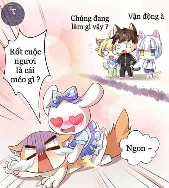 Dưới Móng Vuốt Mèo - Chương 5 - ảnh 32