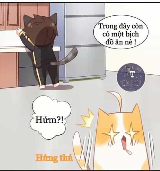 Dưới Móng Vuốt Mèo - Chương 6 - ảnh 7