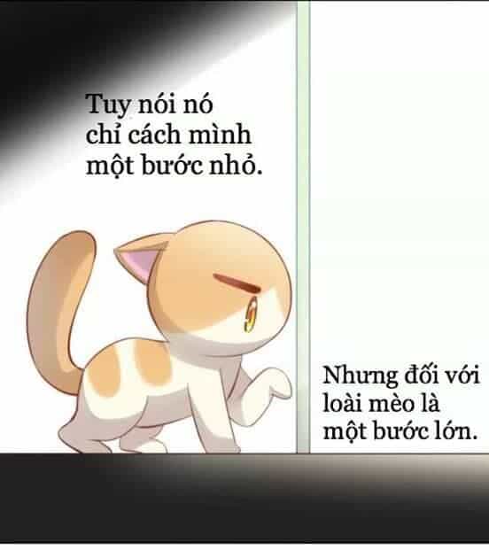 Dưới Móng Vuốt Mèo - Chương 7 - ảnh 31