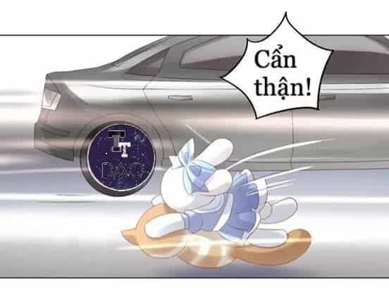 Dưới Móng Vuốt Mèo - Chương 7 - ảnh 34