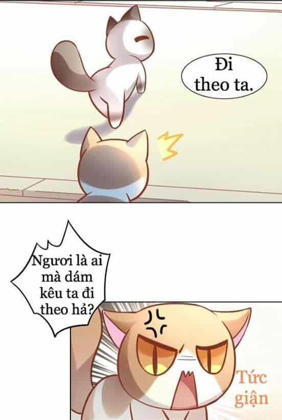Dưới Móng Vuốt Mèo - Chương 8 - ảnh 14
