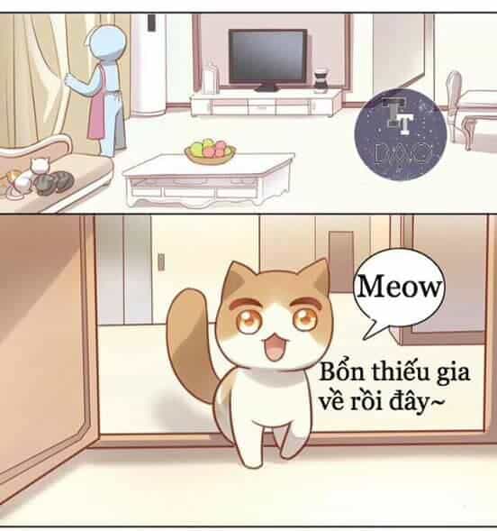 Dưới Móng Vuốt Mèo - Chương 8 - ảnh 49