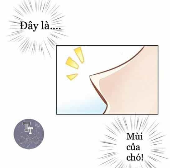Dưới Móng Vuốt Mèo - Chương 8 - ảnh 9